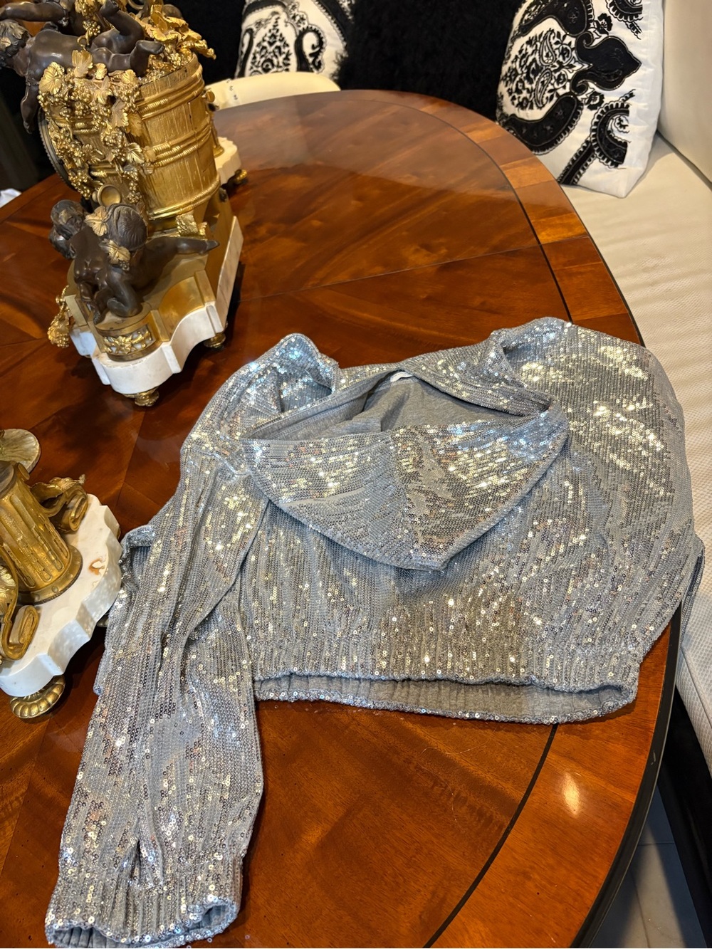 Zara Silver Sequin Cropped Hoodie
